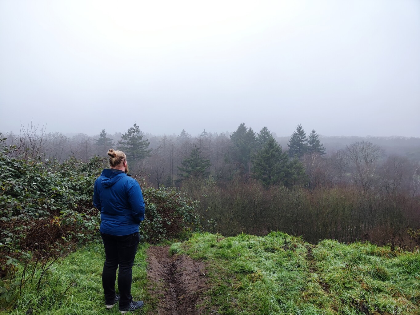 Beek- en Bultpad Wekerom