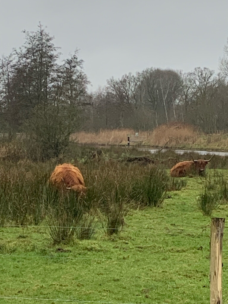 Boxtel - 's-Hertogenbosch · Dommelpad etappe 6