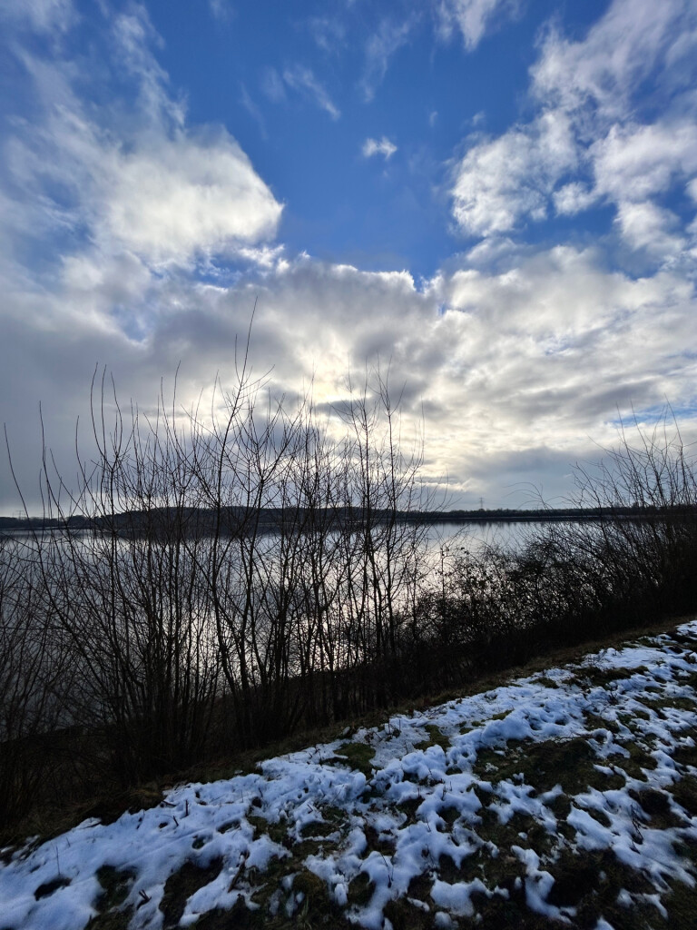 20250112 Grote Vlieter Heel