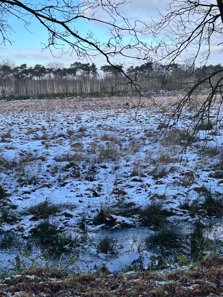 20250112 Grote Vlieter Heel