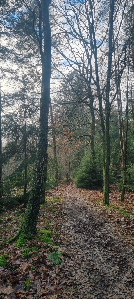 Wandelroute Zevenheuveltjes