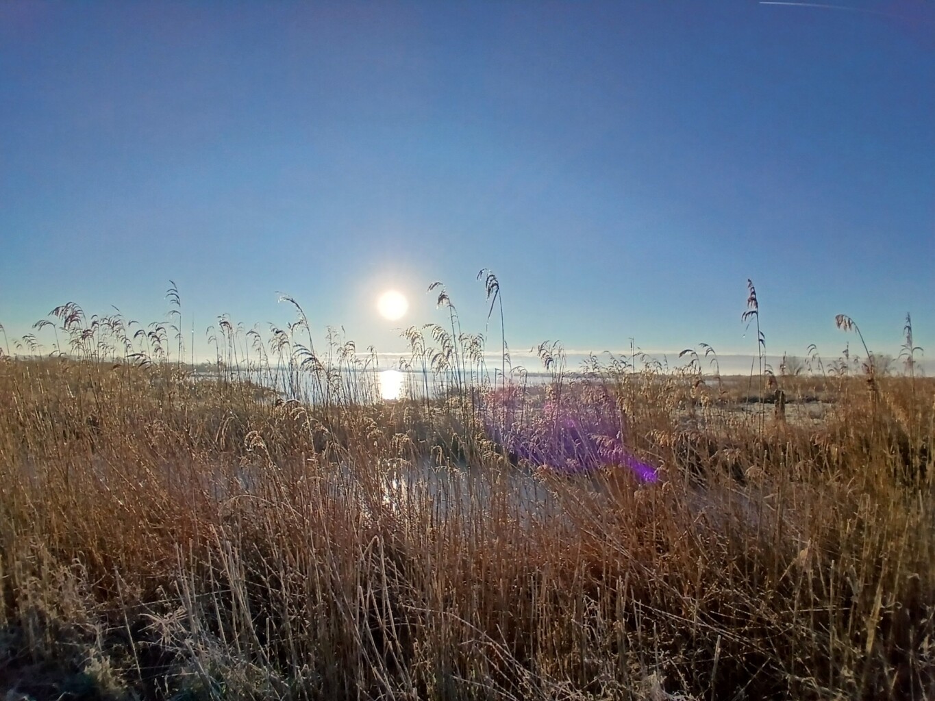Appingedam - Schildwolde · Groninger Borgenpad etappe 13