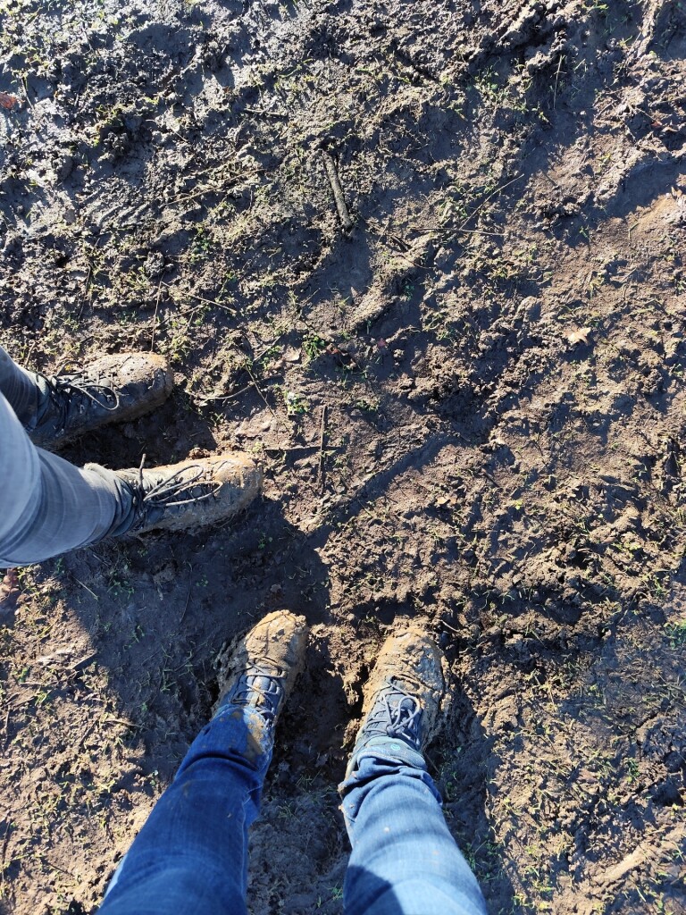 IJsselstein - Vlist · Groene Hartpad etappe 2