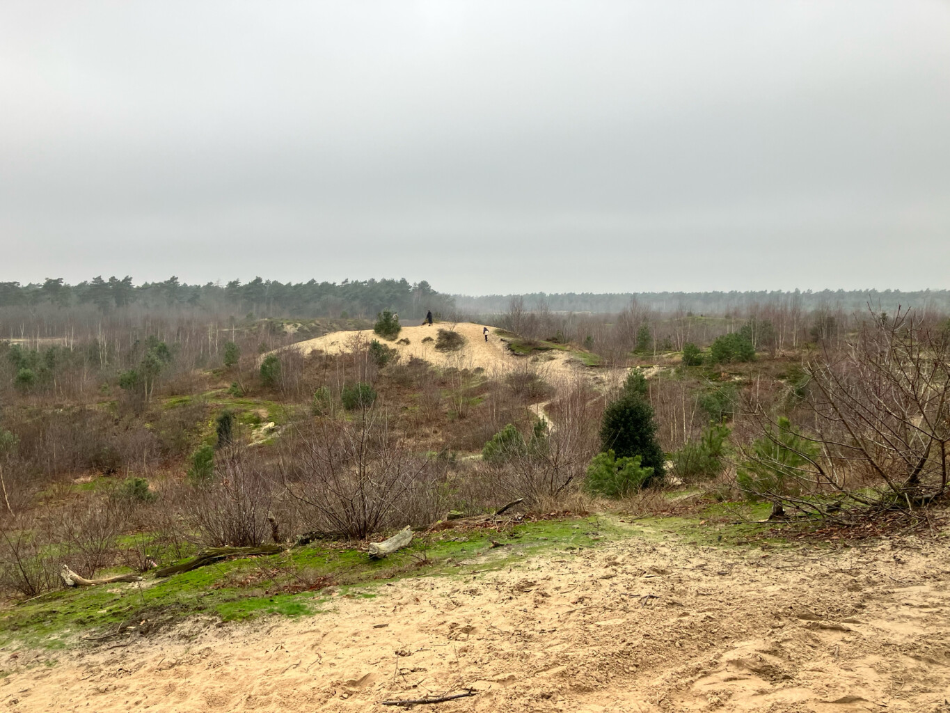 Wandelroute Schaaks Heide