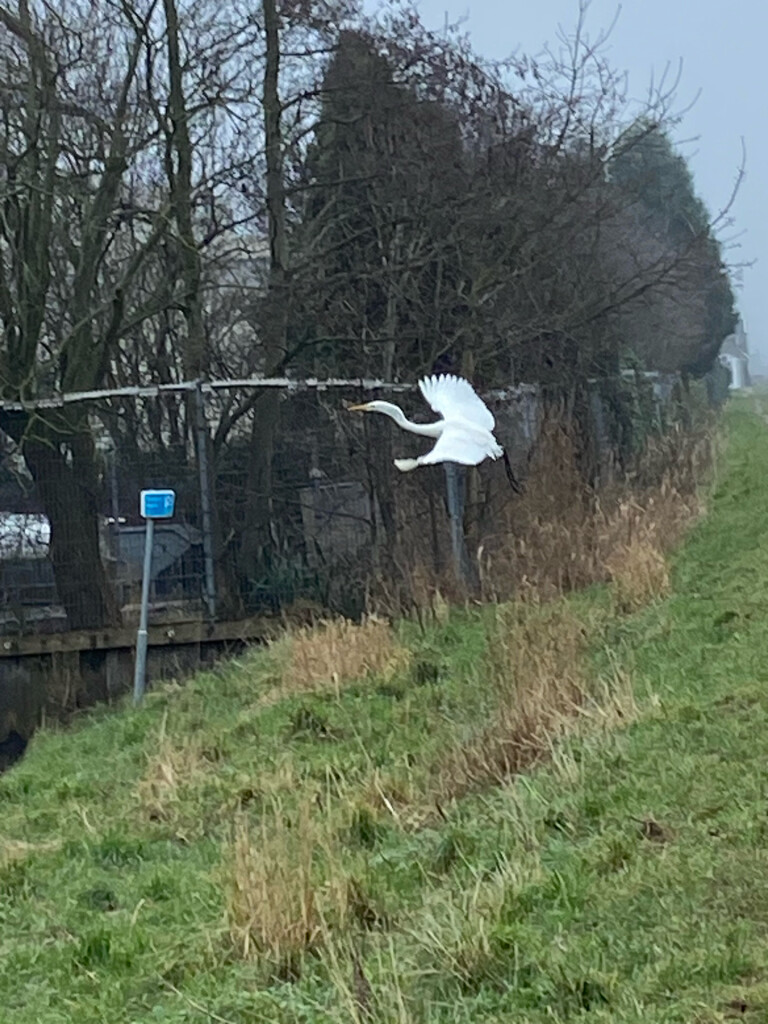 Halfweg - Krommenie · Waterliniepad etappe 2