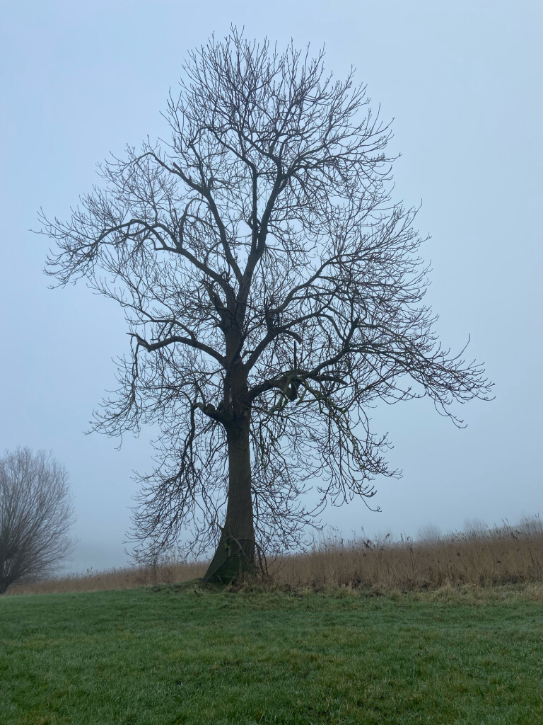 Halfweg - Krommenie · Waterliniepad etappe 2