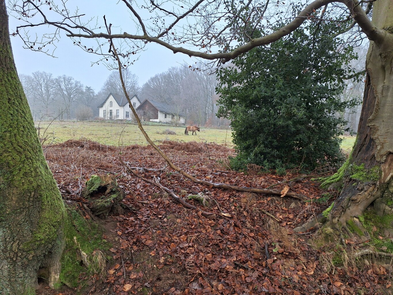 Wandelroute Heuven Beekhuizen Veluwezoom