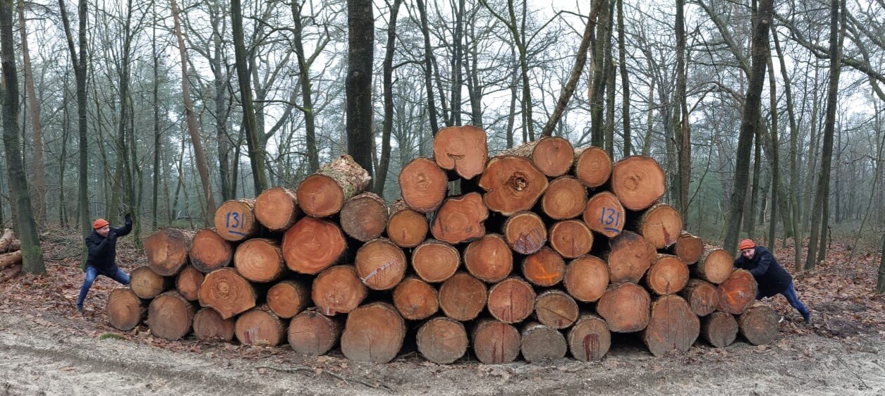 Wandelroute Kootwijkerveen