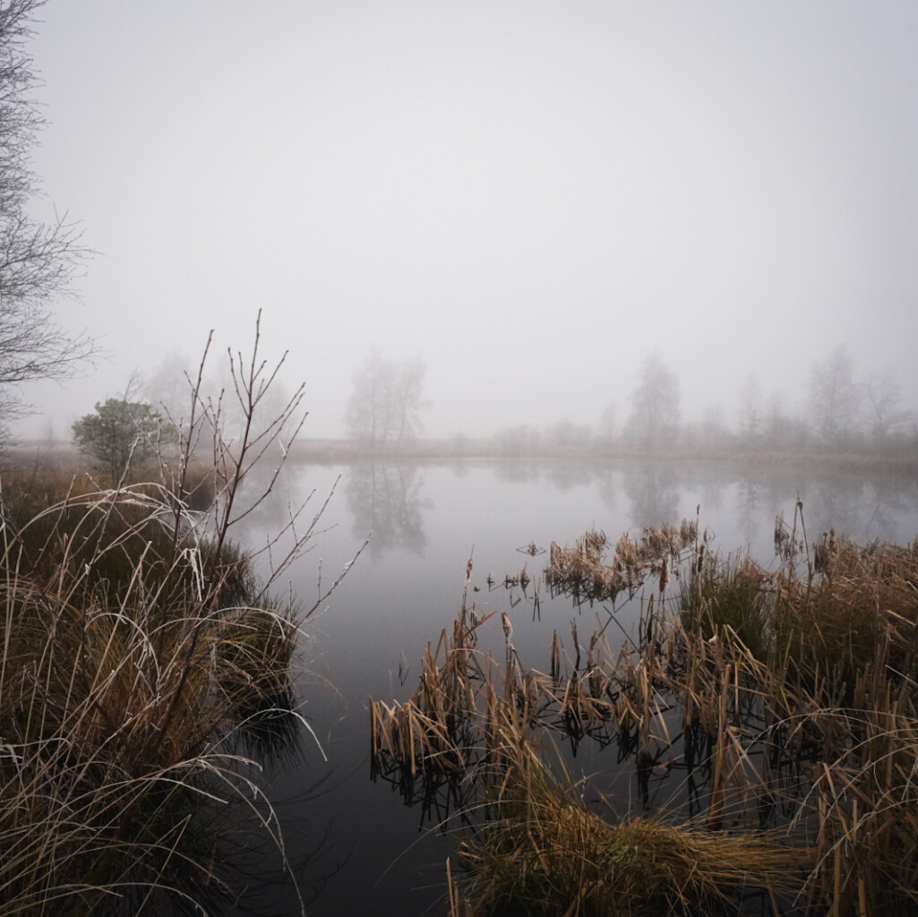 Boswachterspad Ballooërveld