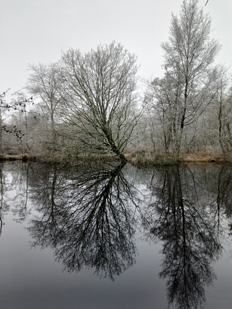 Slochteren - Sappemeer · Groninger Borgenpad etappe 15
