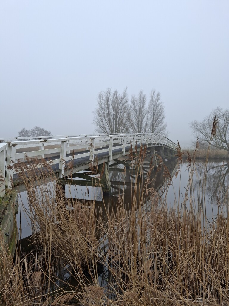 Rondje Kinderdijk