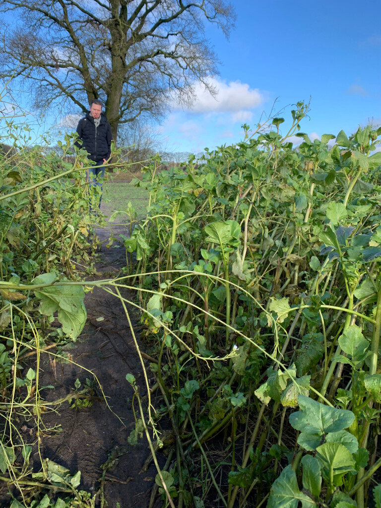 Uddelermeerpad Uddel