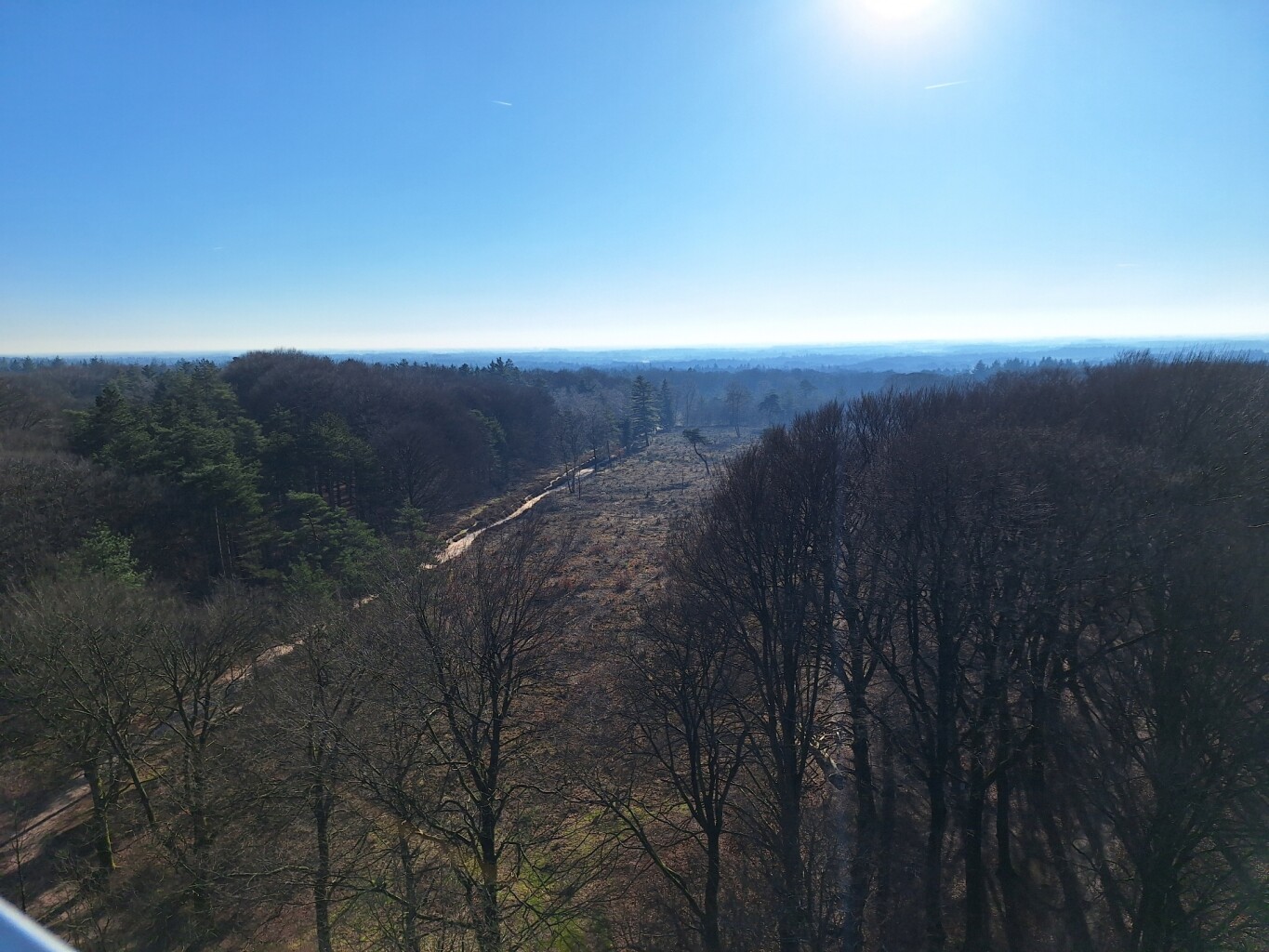 Wandelroute Hoogtepunten Kaapse Bossen - Doorn