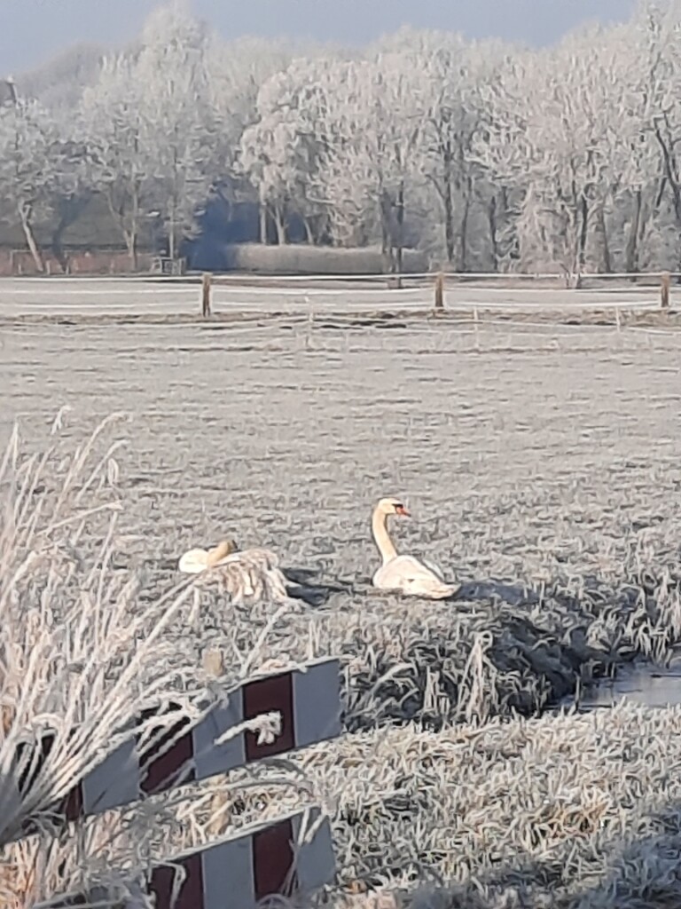 Het Sauwerder ommetje