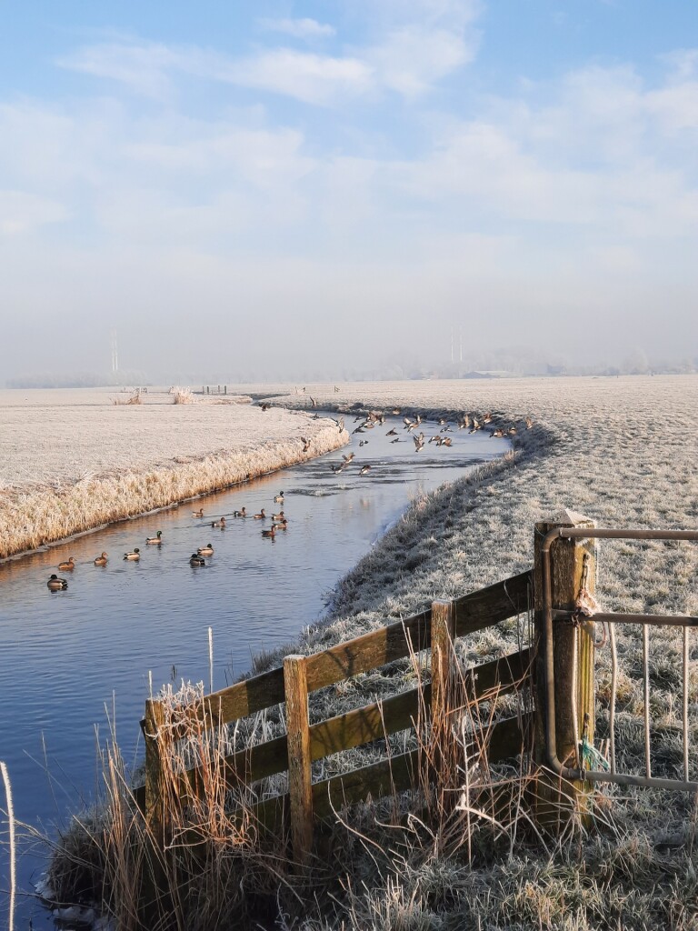 Het Sauwerder ommetje