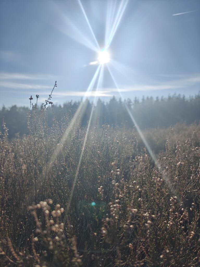 Gele Zwerfkeienroute Loenen