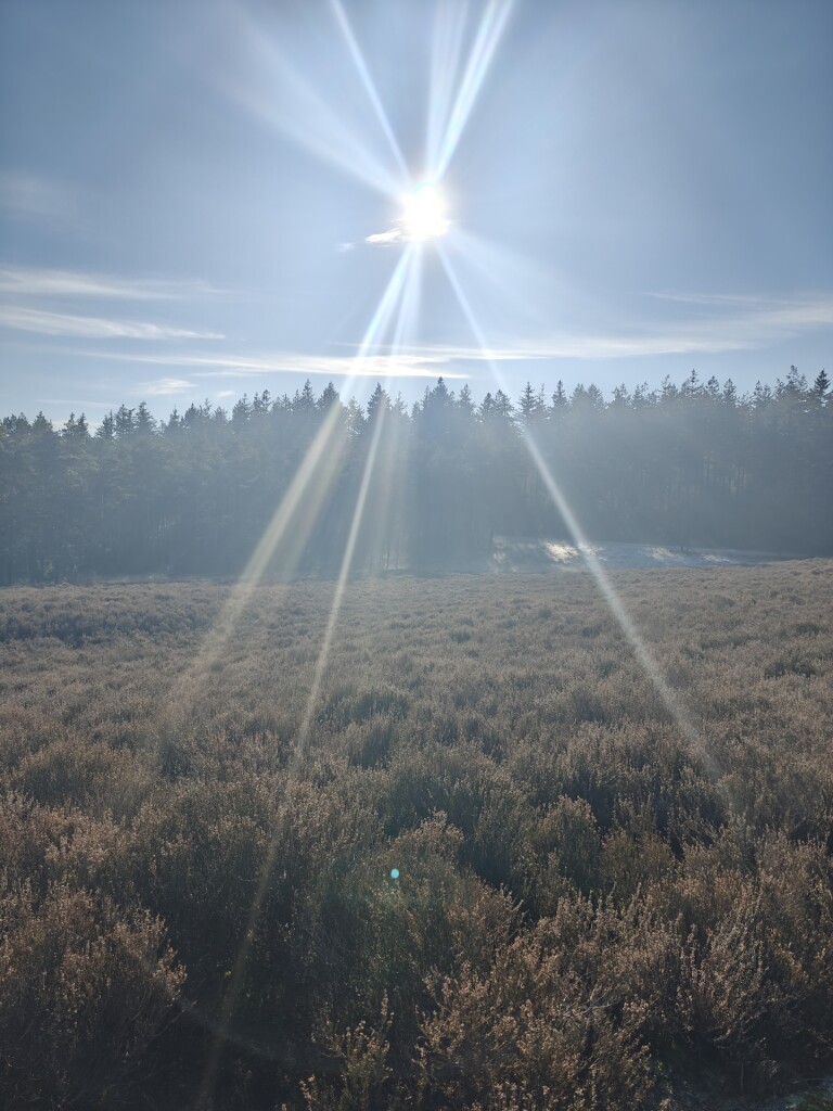 Gele Zwerfkeienroute Loenen