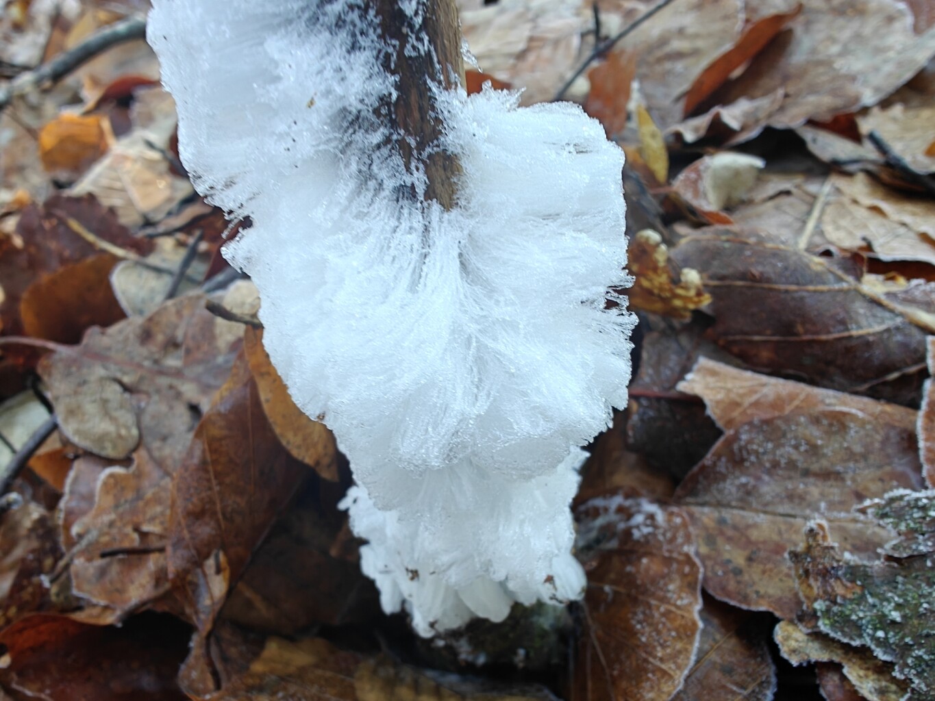 Gele Zwerfkeienroute Loenen