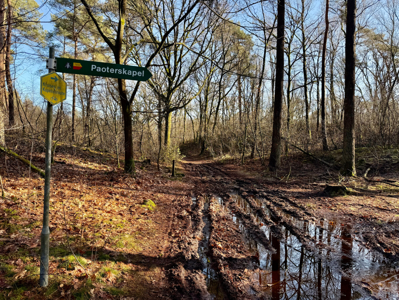 Nieuw-Bergen - Diekendaal · Maas-Niederrheinpad etappe 4
