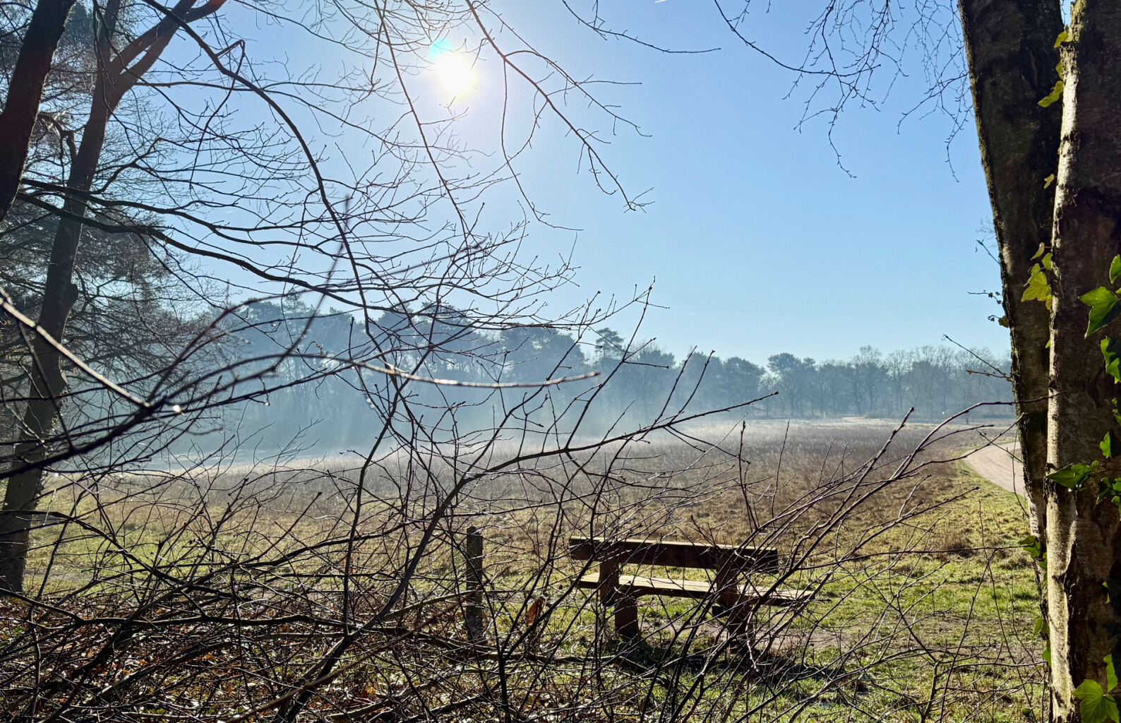 Nieuw-Bergen - Diekendaal · Maas-Niederrheinpad etappe 4