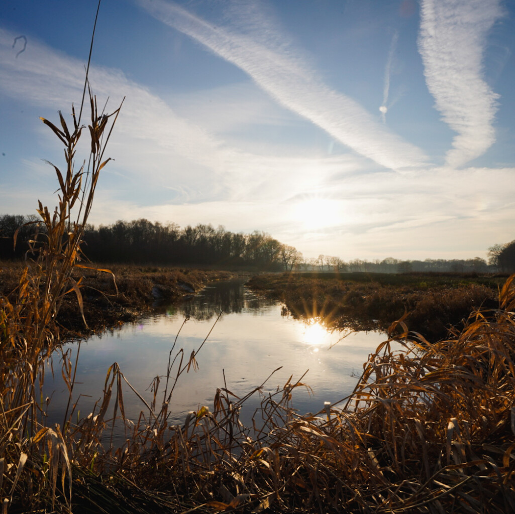 Boswachterspad Oudemolense Diep