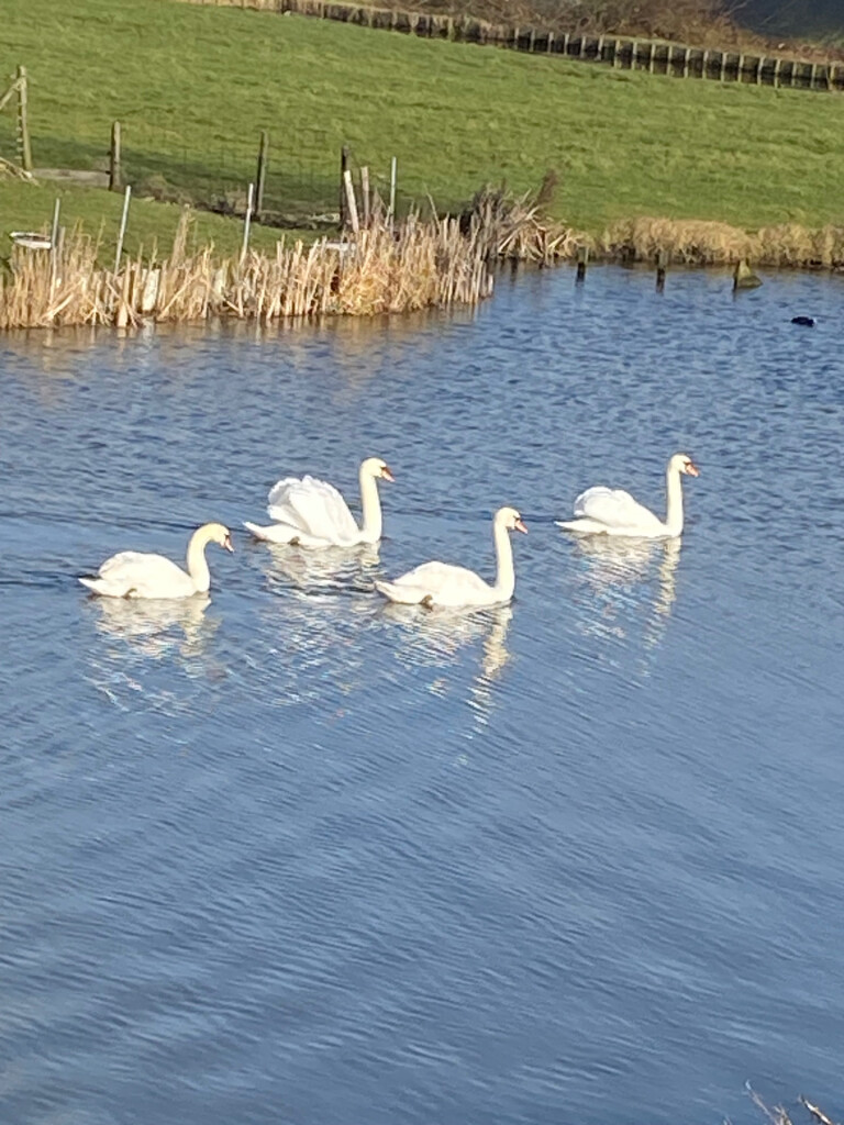 Ommetje 02 - Woudse Droogmakerij route