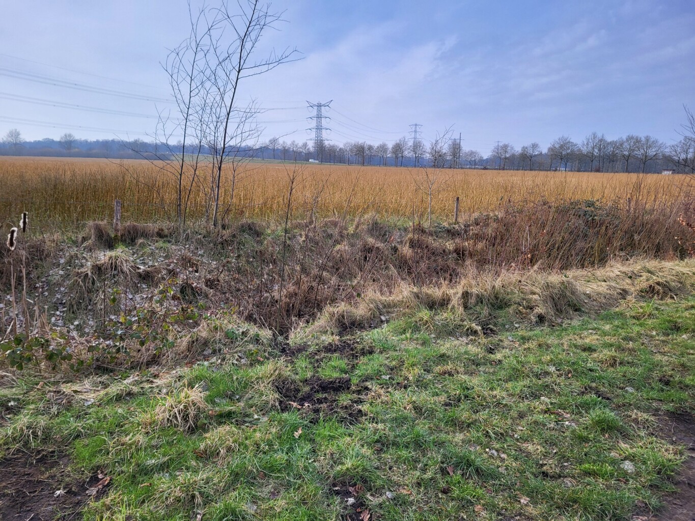 Losser, N732 - Enschede · Noaberpad etappe 13