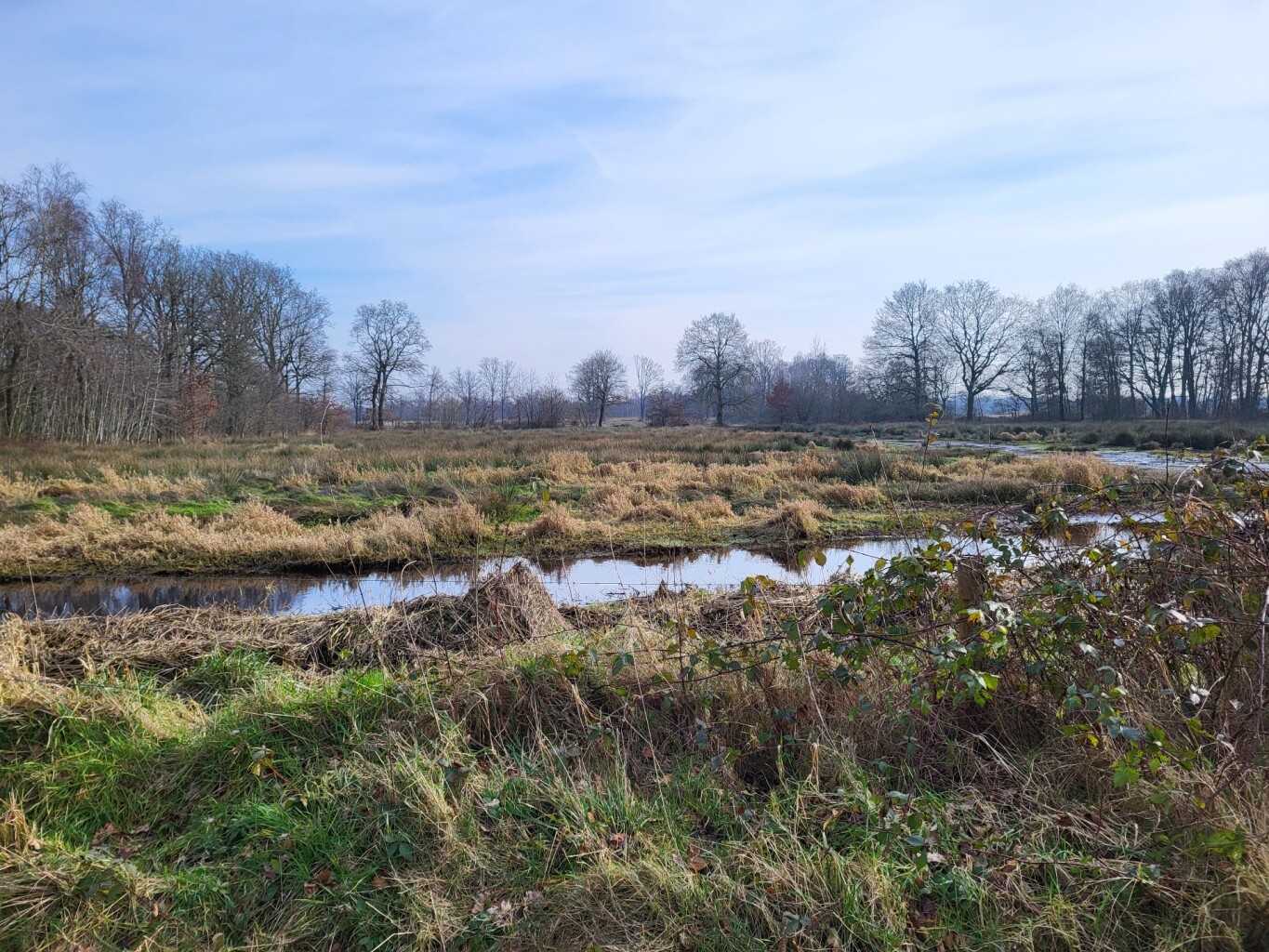 Losser, N732 - Enschede · Noaberpad etappe 13