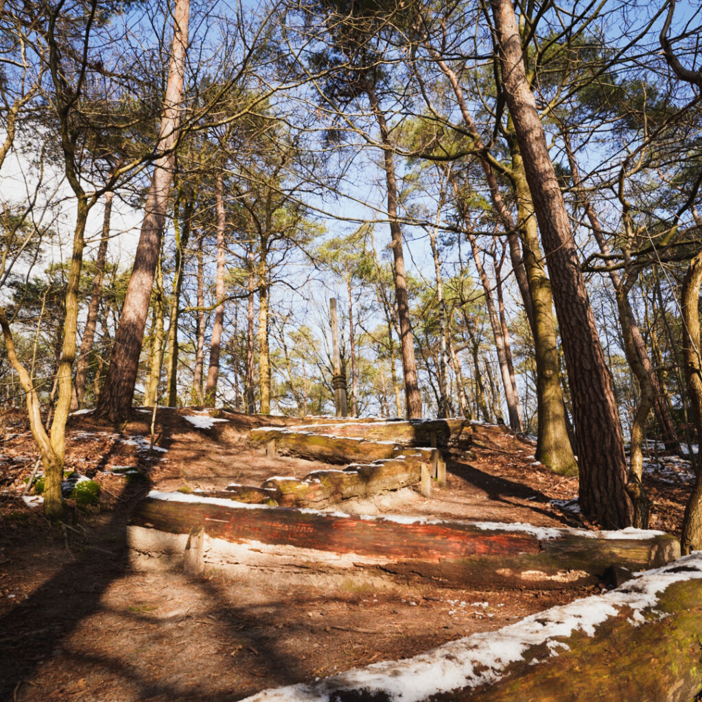 Boswachterspad Olde Smildeger