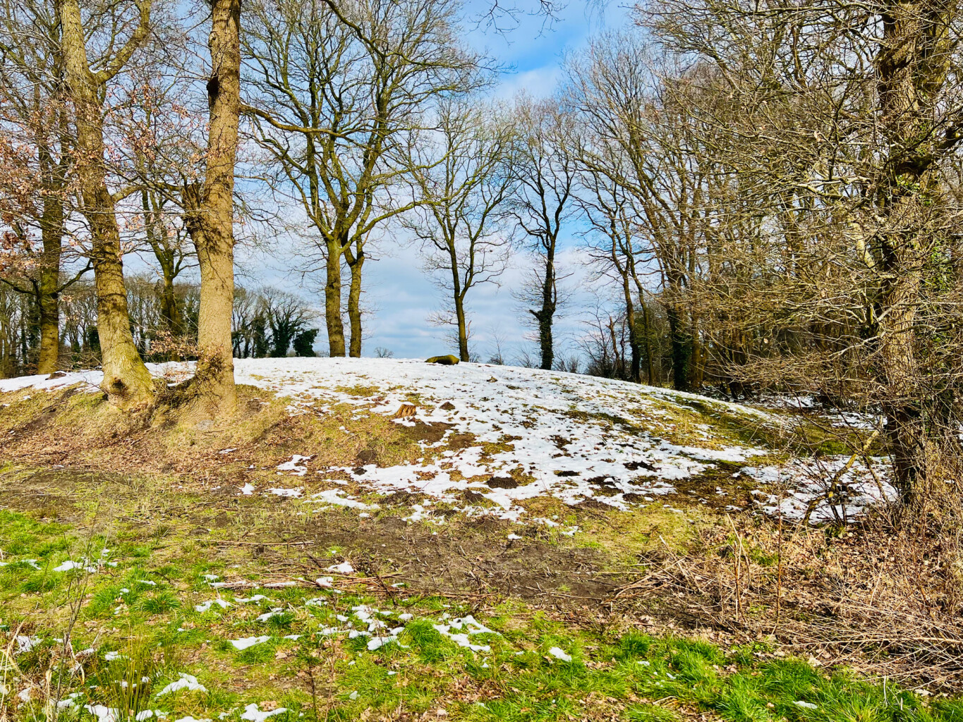 Brummelpad-Kostvlies wandeling