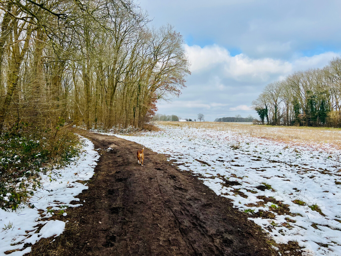 Brummelpad-Kostvlies wandeling