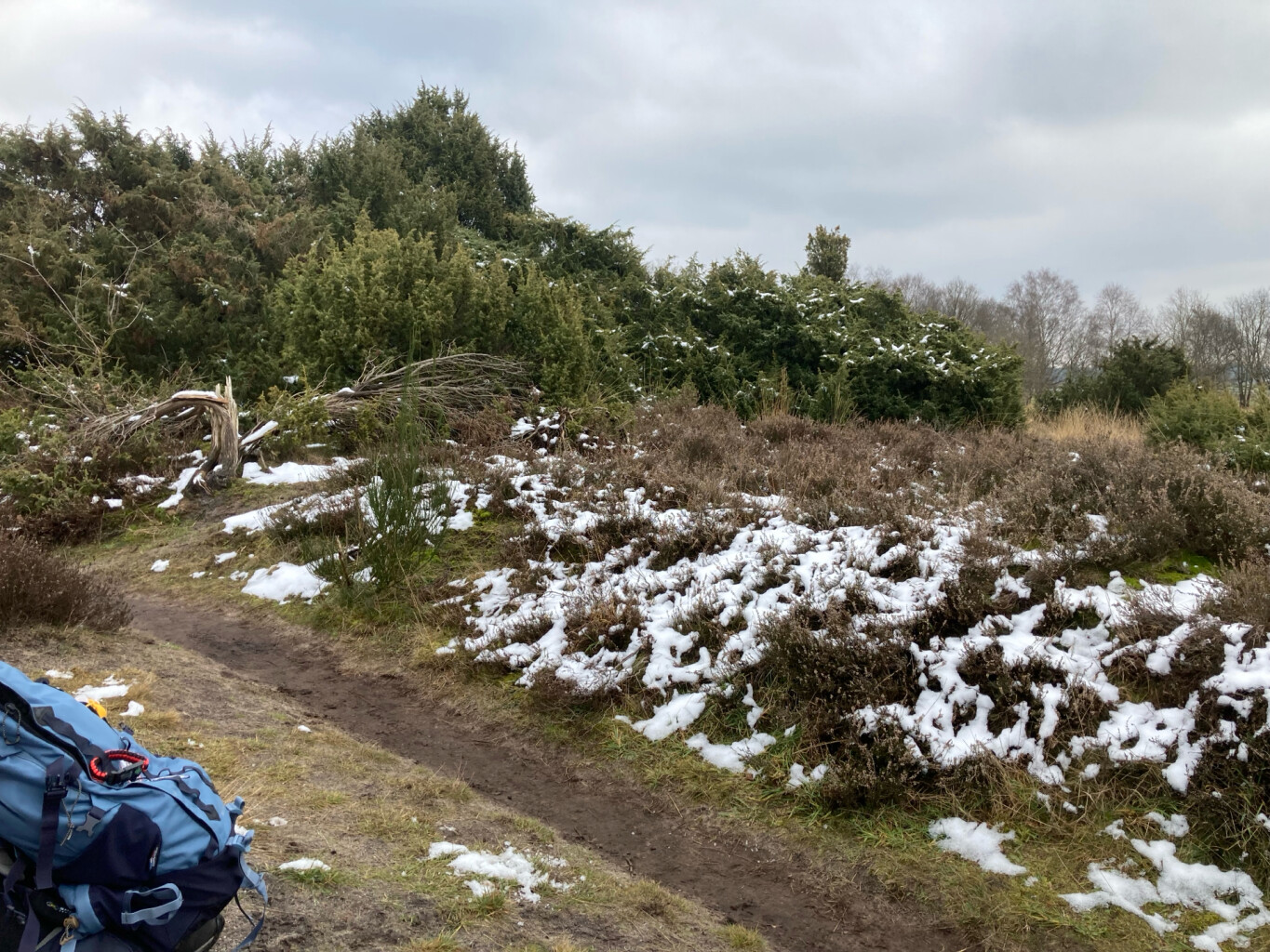 Nieuwe Balinge - Westerbork · Drenthepad etappe 17