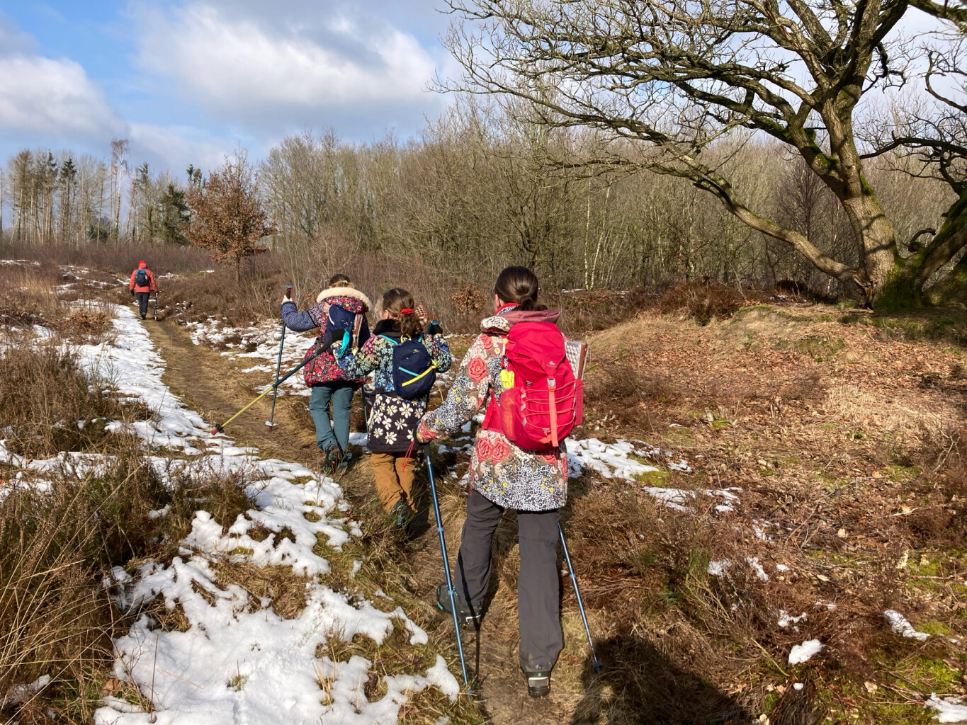 Nieuwe Balinge - Westerbork · Drenthepad etappe 17