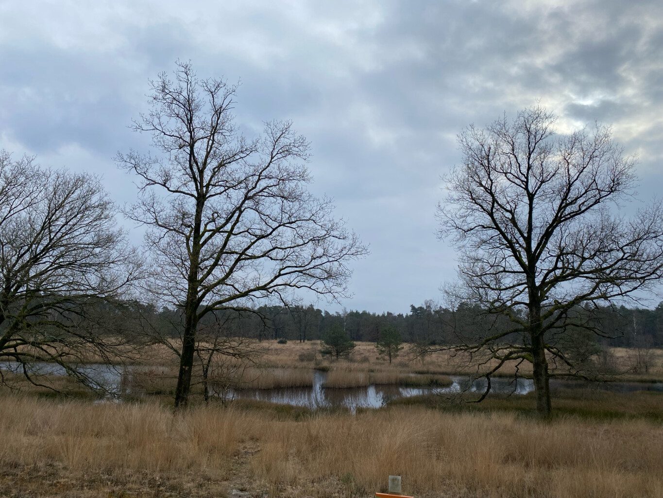 Wandelroute Kootwijkerveen