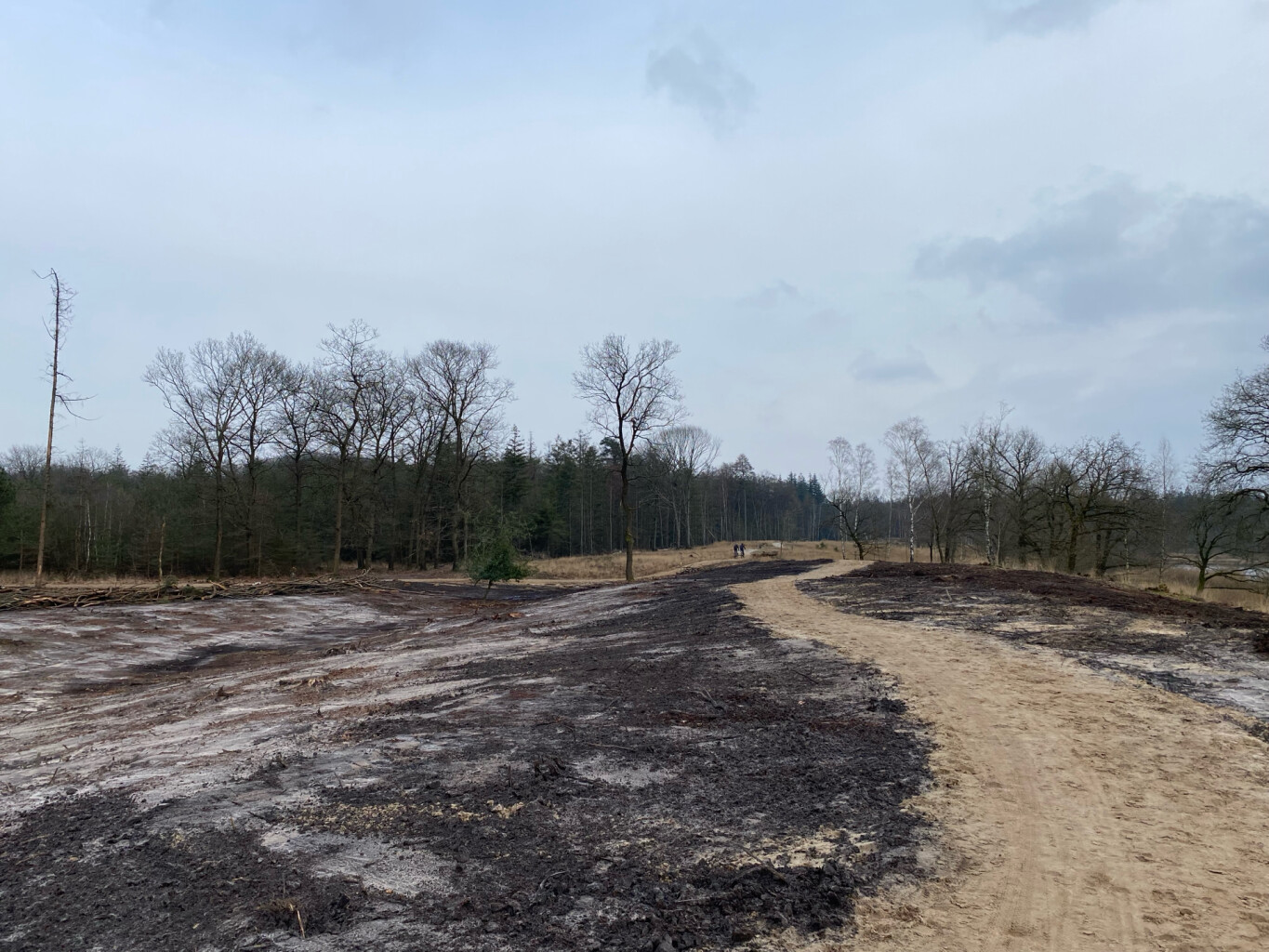 Wandelroute Kootwijkerveen