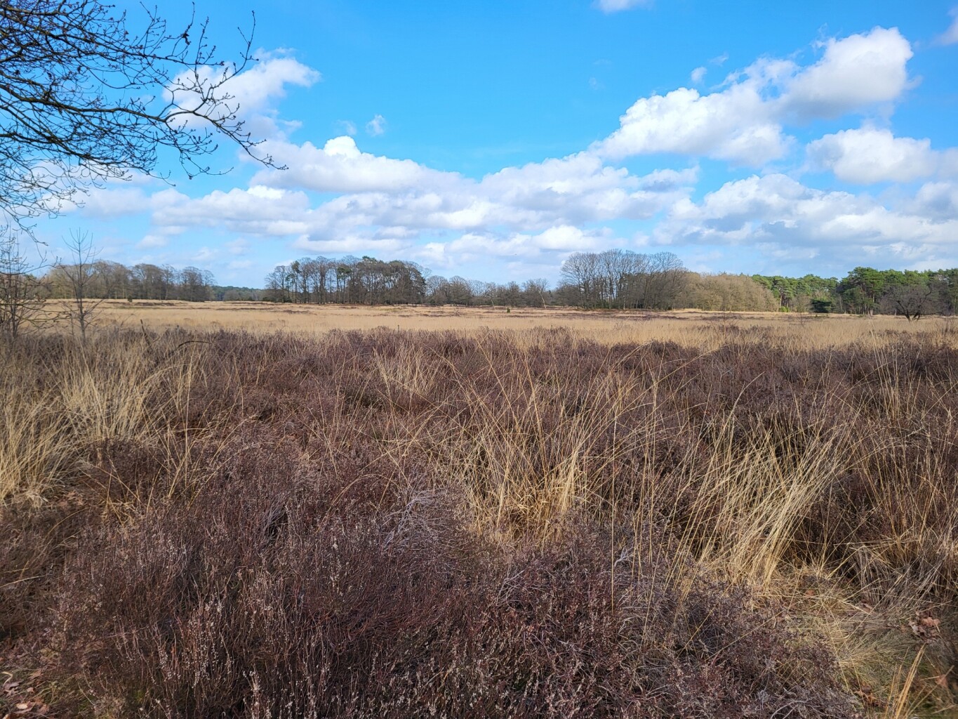 Enschede  - Haaksbergen, Buurserstraat · Noaberpad etappe 14