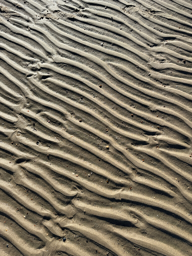 Halte Kasteel Westhove - Neeltje Jans · Nederlands Kustpad 1 etappe 4