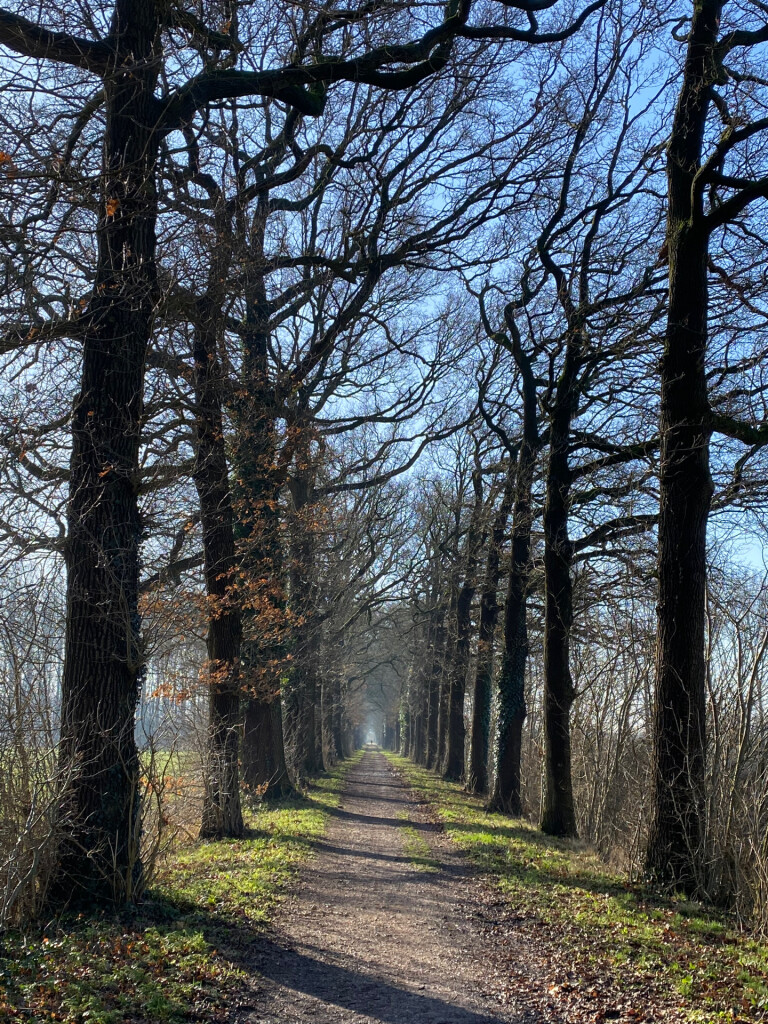 Herveld - Valburg · Pad van de Vrijheid etappe 4