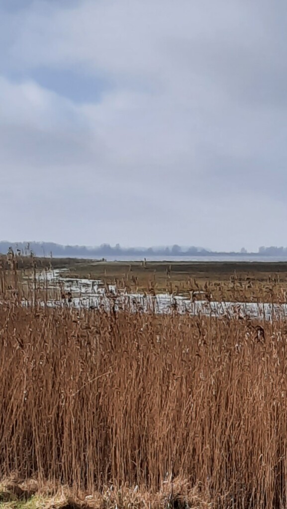 Lauwersoog - Niekerk · Nederlands Kustpad 3 etappe 9