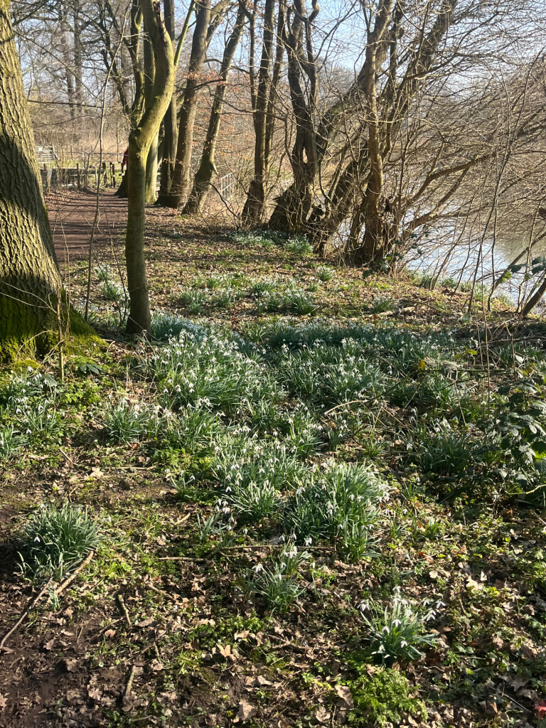Utrecht - Odijk · Utrechtpad etappe 1