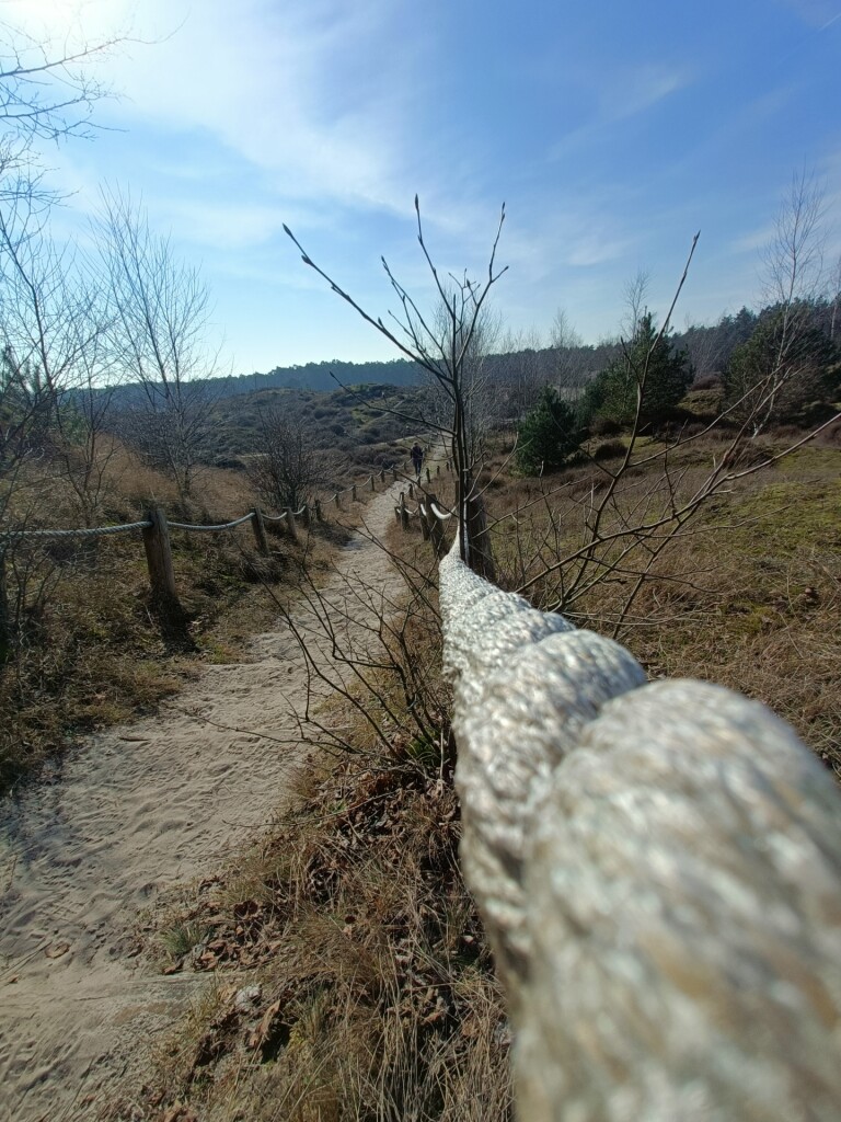 Wandelroute: Wisselende landschappen rond het Hulshorsterzand 