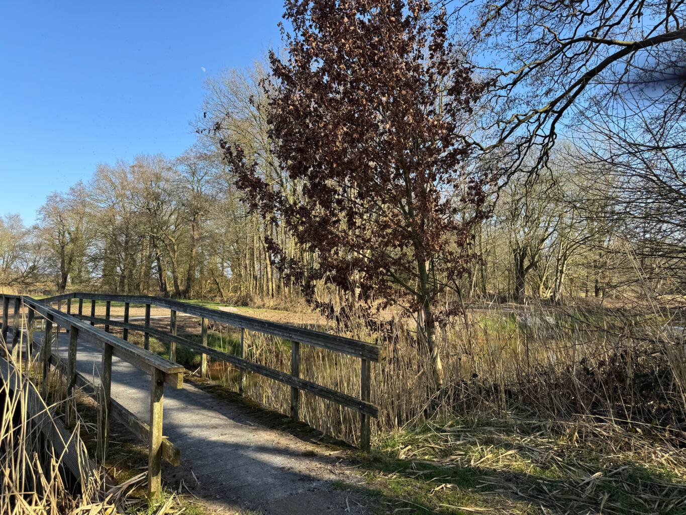 Symfonie van kleur- Van Gogh wandelroutes