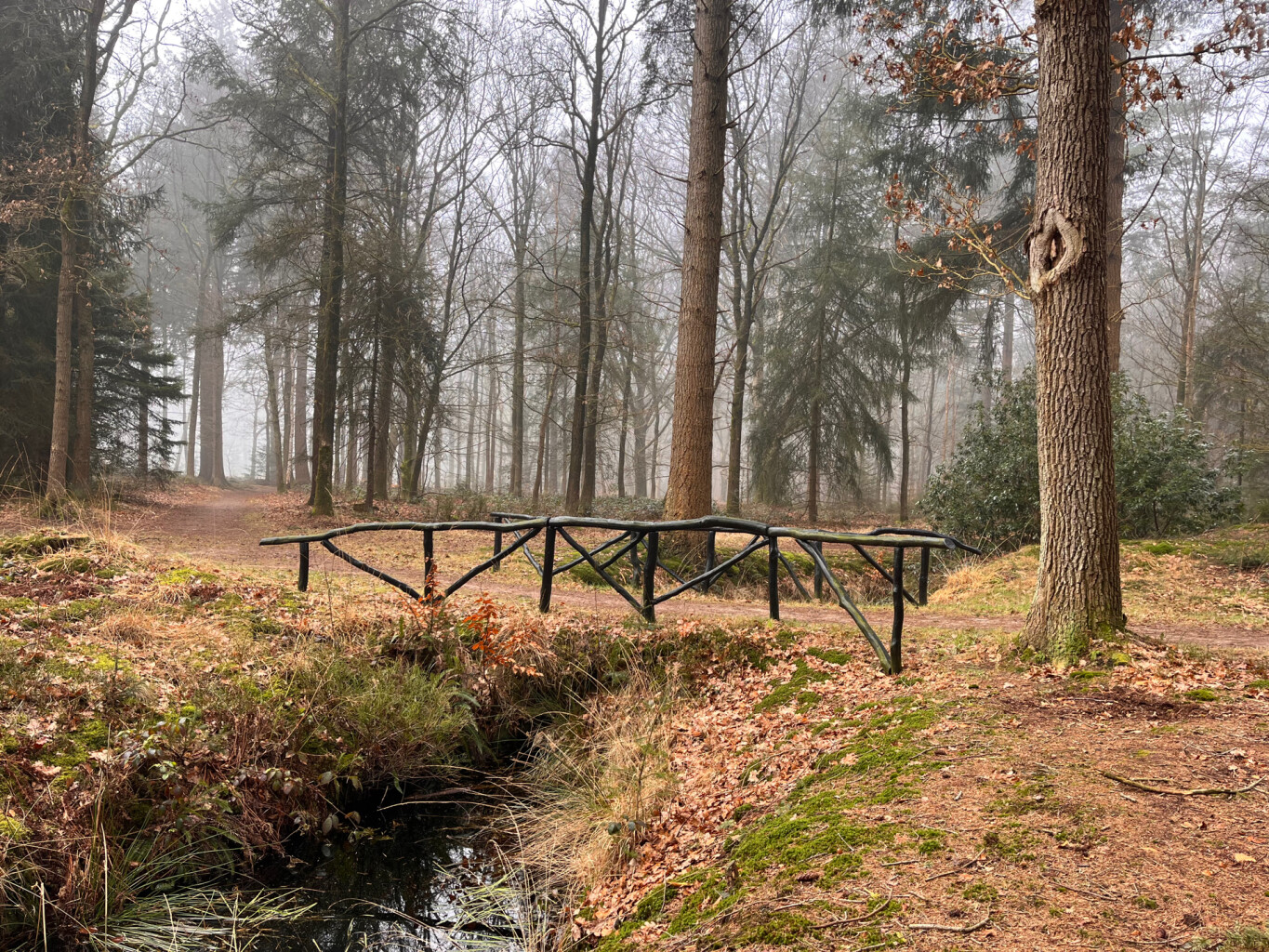 Oldeberkoop - Donkerbroek · Stellingenpad etappe 9