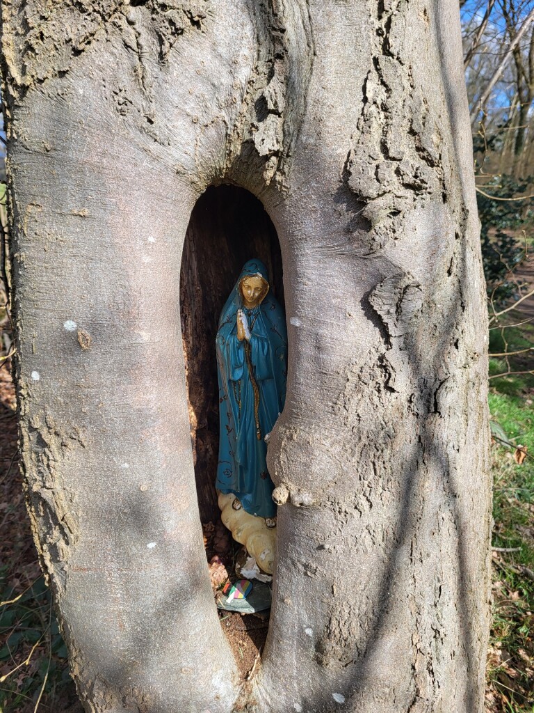 Ommetje Haarloseveld