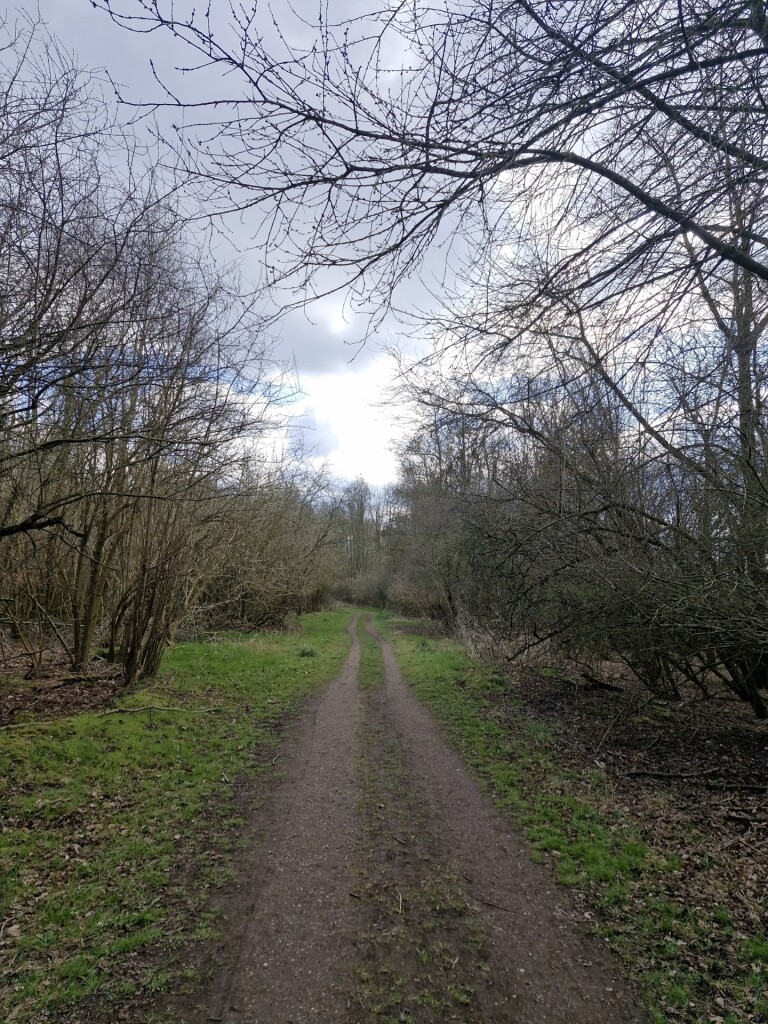 Wandelroute Moeraspad