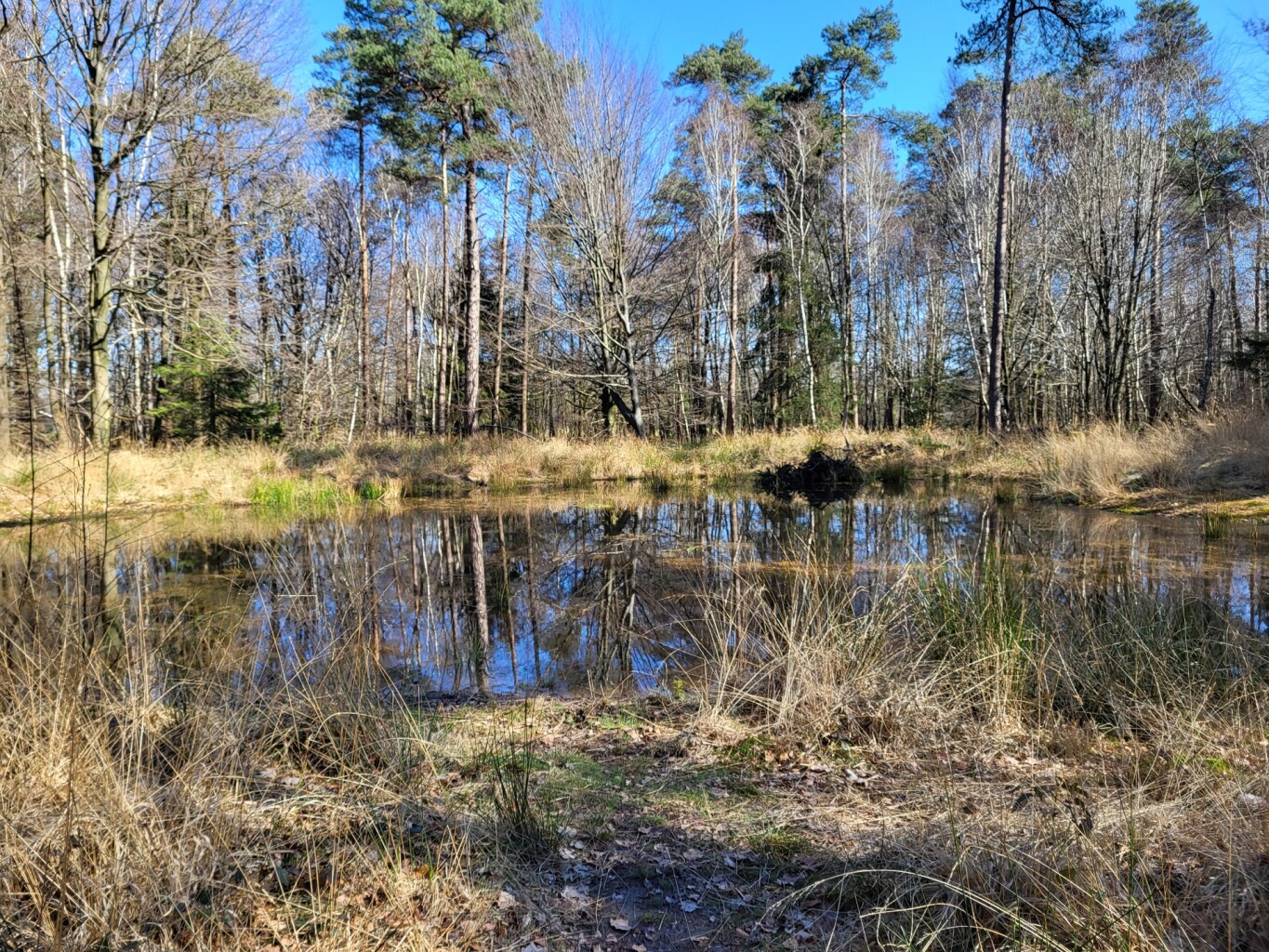 Rossum - Losser, N732 · Noaberpad etappe 12