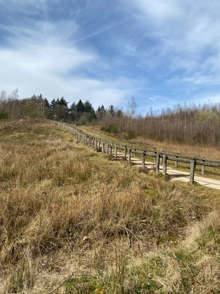 Veenendaal Prattenburg - Rhenen · Pad van de Vrijheid etappe 12