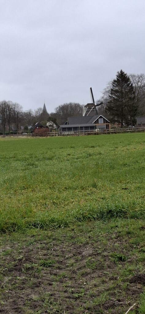 Diever Ommetje Romeo en Julia