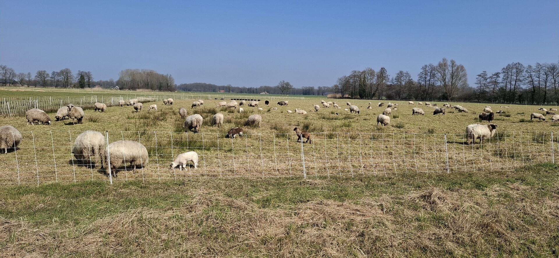 Delden station - Weldam · Overijssels Havezatenpad etappe 4
