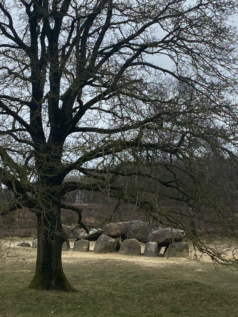 Wandelroute Holtingerveld, vlakbij Havelte